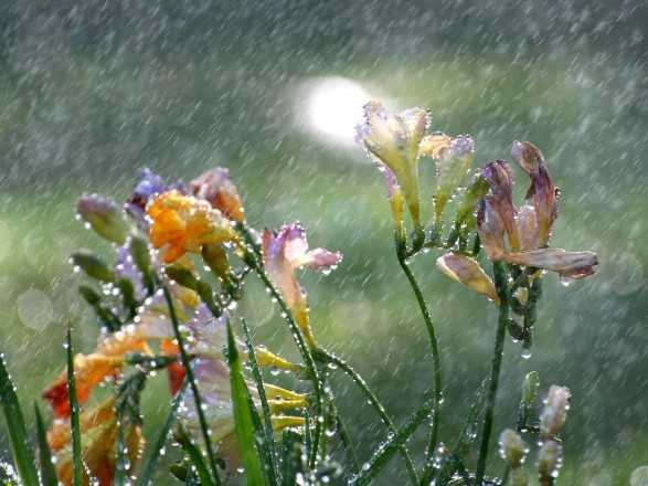 Следующая неделя начнется с гроз и 30-градусной жары