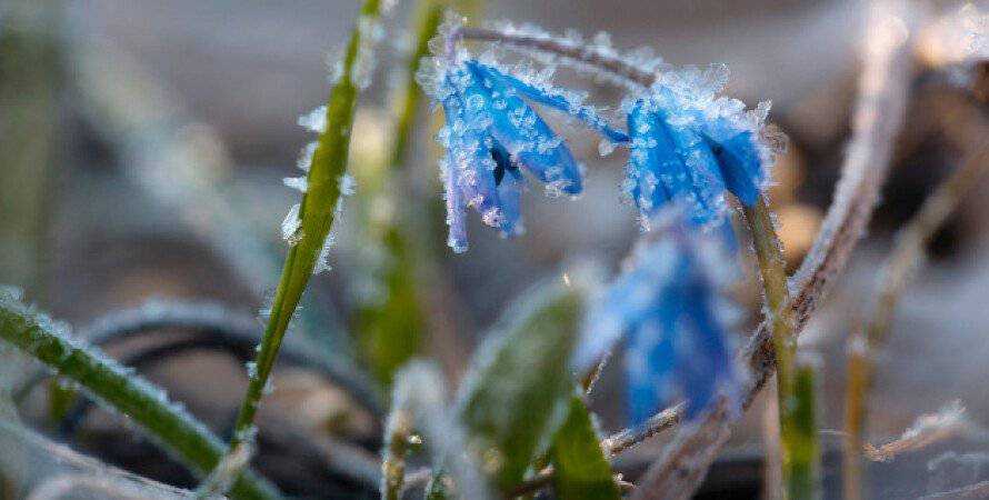 На Україну насуваються заморозки і сніг