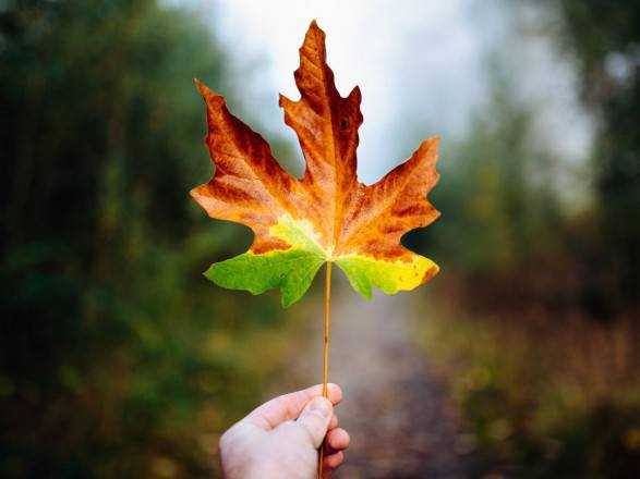 Сегодня в Украине до 21 градуса тепла