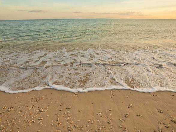 Вода у Чорному та Азовському морях прогрілась до +28°