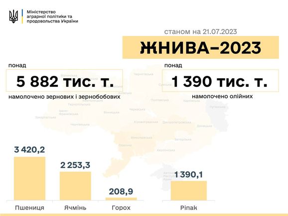 Жатва 2023: собрано почти 6 млн тонн зерна - Минагрополитики