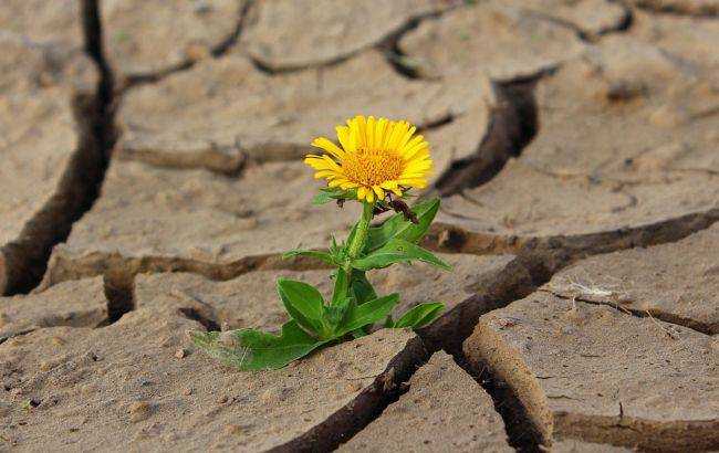 В Украину идет знойная жара: синоптики предупредили о резкой перемене погоды