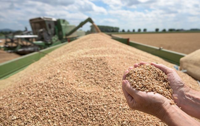Как отключение света повлияли на производство продуктов: ответ Минагрополитики