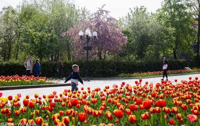 Сегодня в Украине преимущественно сухо, днем до +28