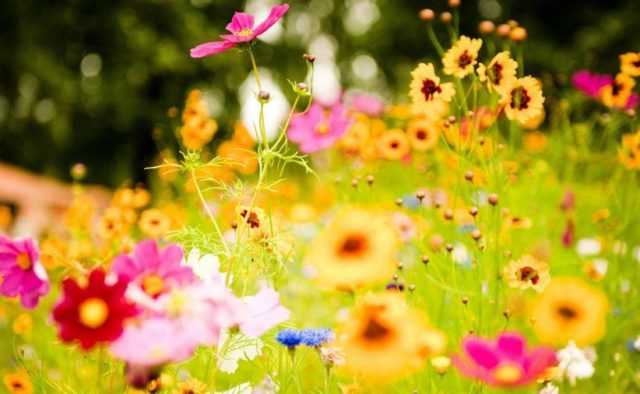 Синоптики дали прогноз на август: аномальное тепло