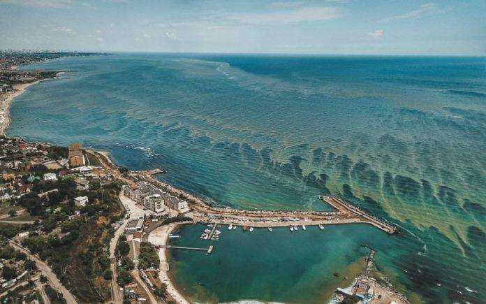 «Цветение» моря в Одессе сняли с дрона