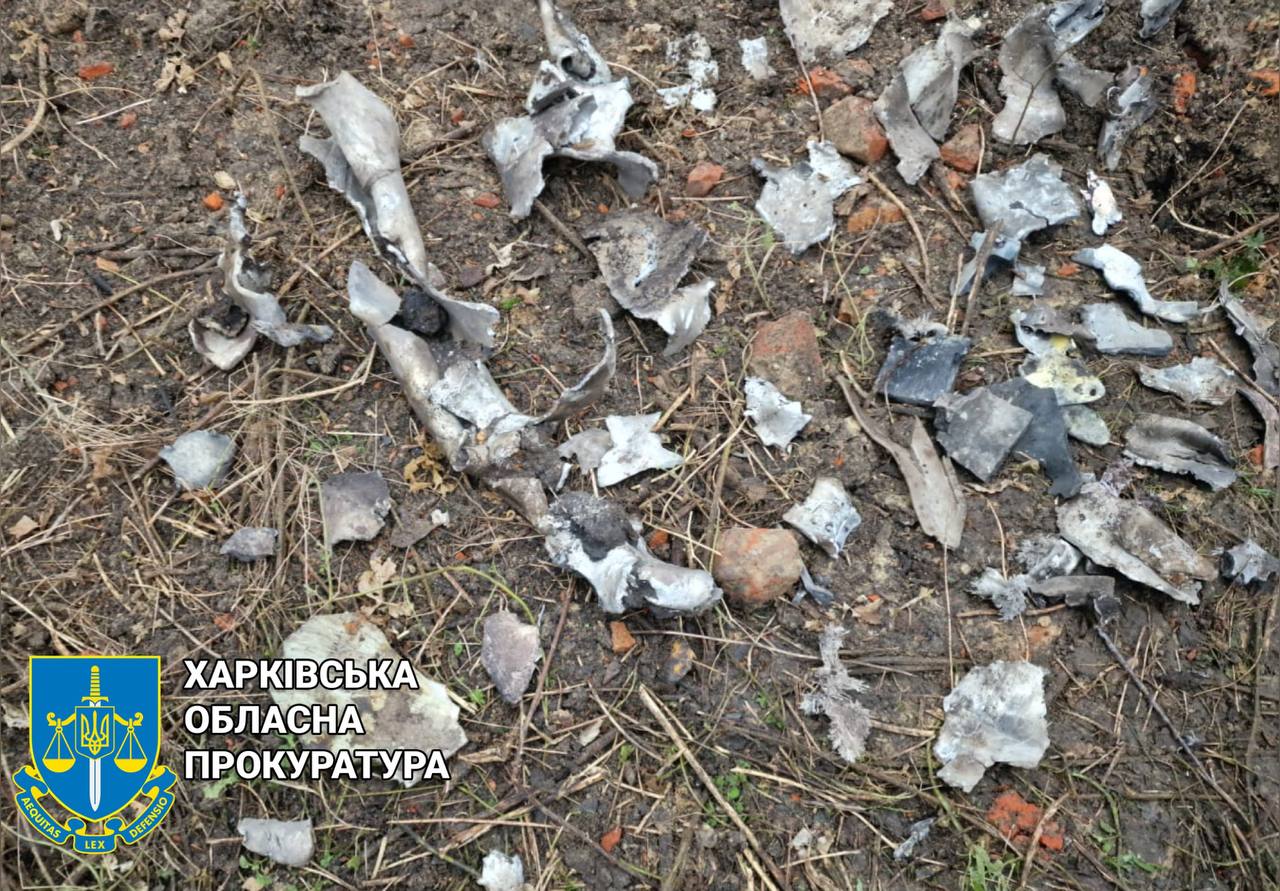 Харьковщина: мужчина наступил на взрывчатку на обочине и взорвался