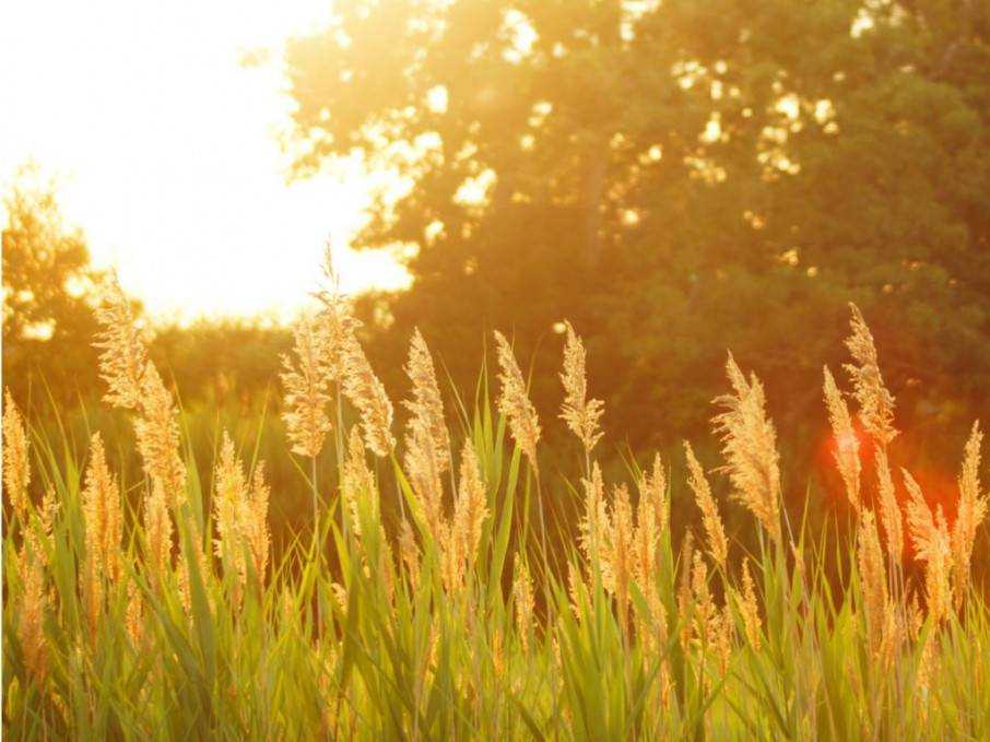 В Украине сегодня тепло