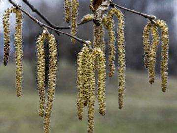 28 березня: яке сьогодні свято