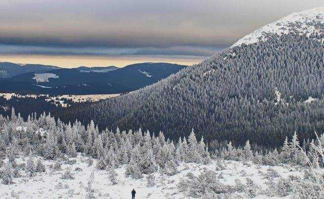 Карпаты завалило снегом